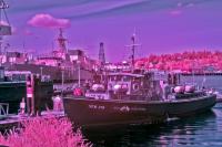 dockyardDSC_3849.jpg